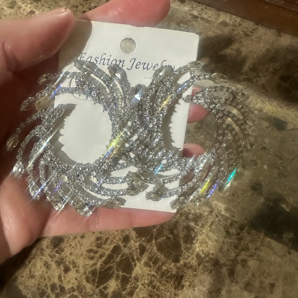 NWT Sparkling Silver Hoop Earrings